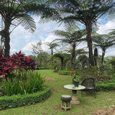 Lembah Cinta Mayungan Baturiti ภายนอก รูปภาพ