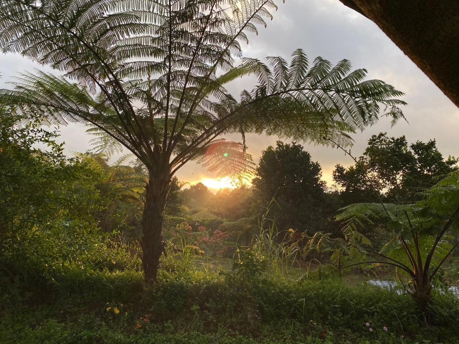 Lembah Cinta Mayungan Baturiti ภายนอก รูปภาพ