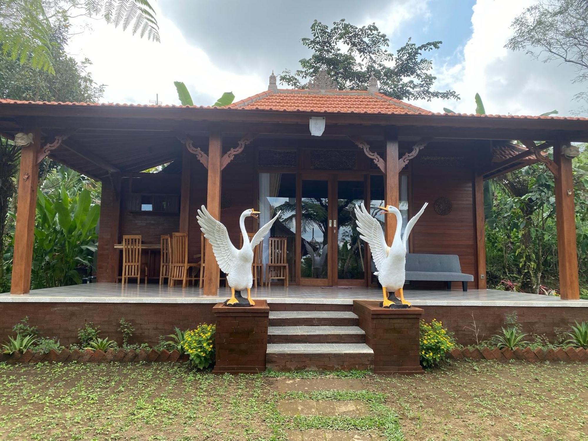 Lembah Cinta Mayungan Baturiti ภายนอก รูปภาพ