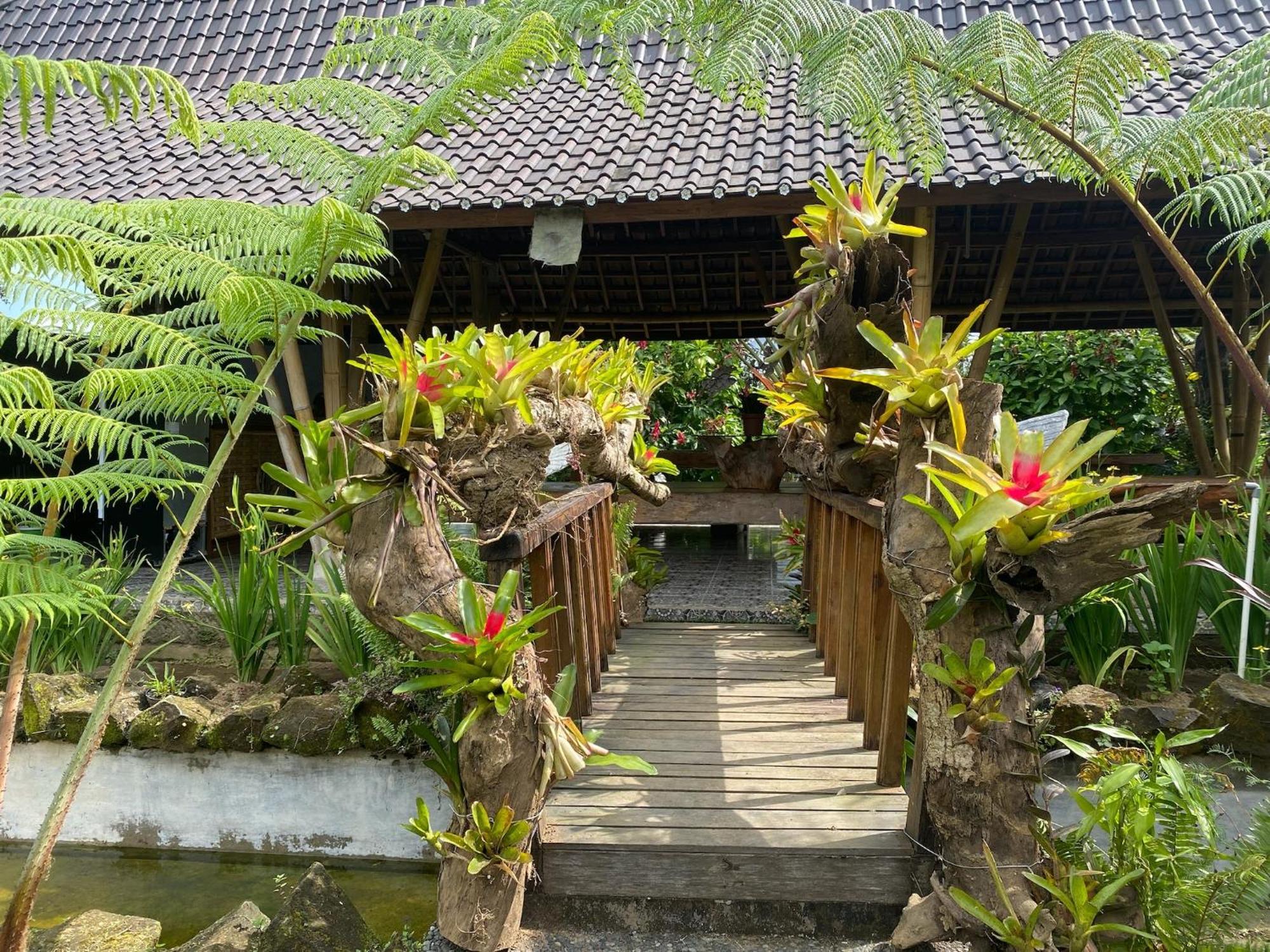 Lembah Cinta Mayungan Baturiti ภายนอก รูปภาพ
