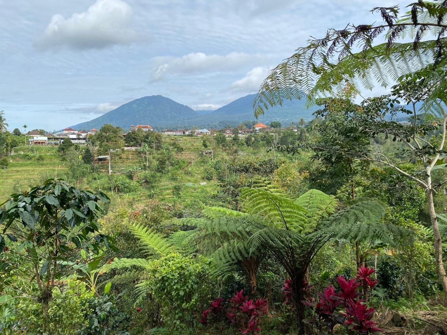 Lembah Cinta Mayungan Baturiti ภายนอก รูปภาพ